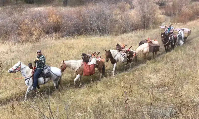 Book Cliffs Elk Hunting